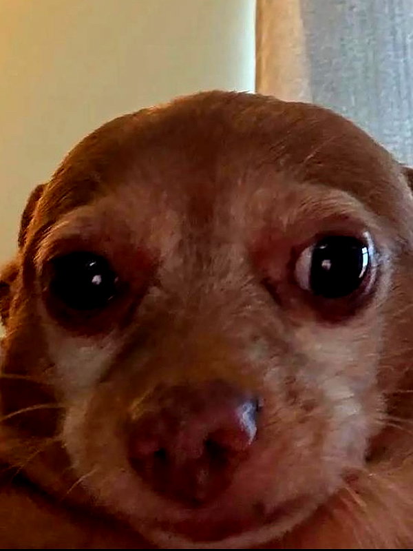 peachtoot.plz instagram image archive image