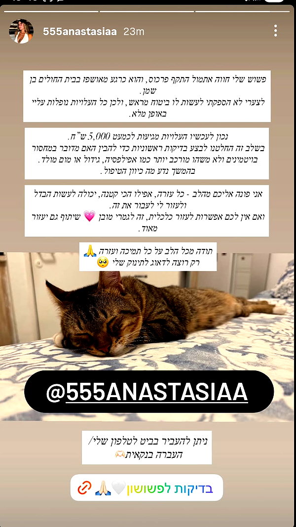 nicakitty instagram image archive image