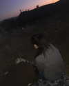 haileylayfield Altpins Profile Picture