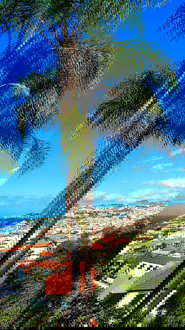 taylor.creeden taylor.creeden archive image