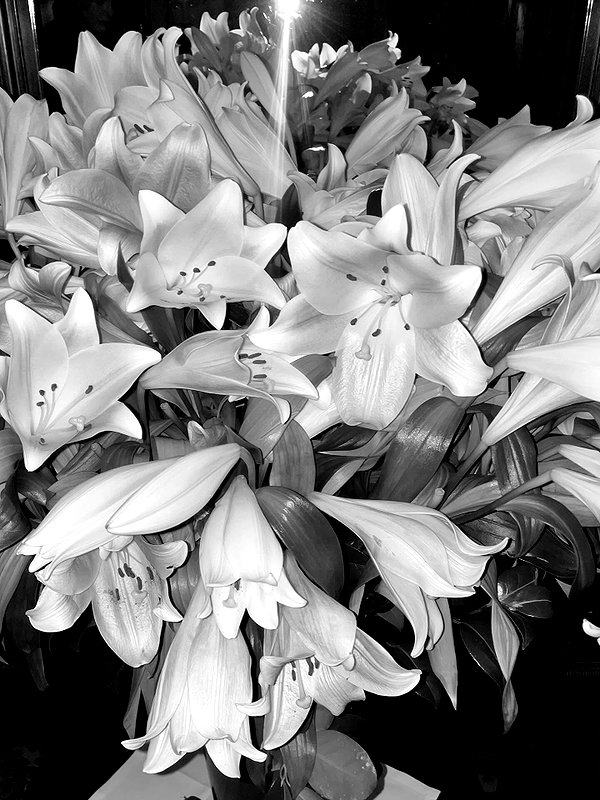 edvarda_ instagram image archive image