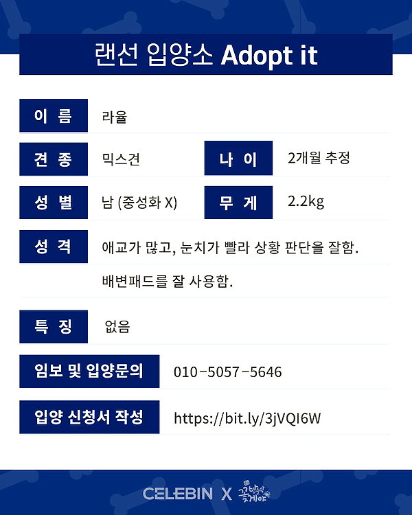 daxbin instagram image archive image