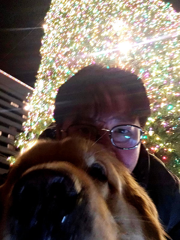 muze instagram image archive image