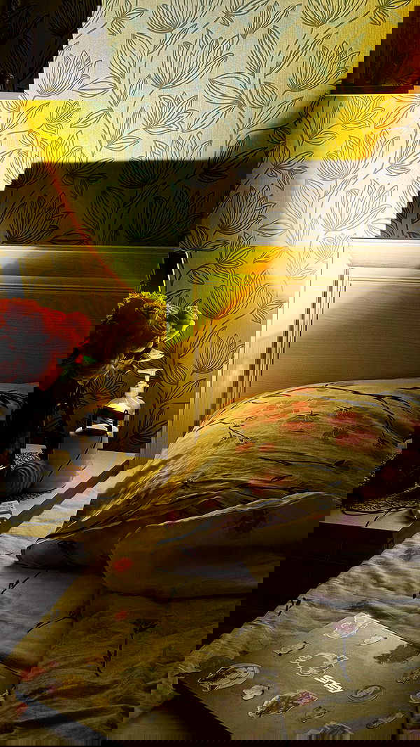 vvvierness vvvierness archive image