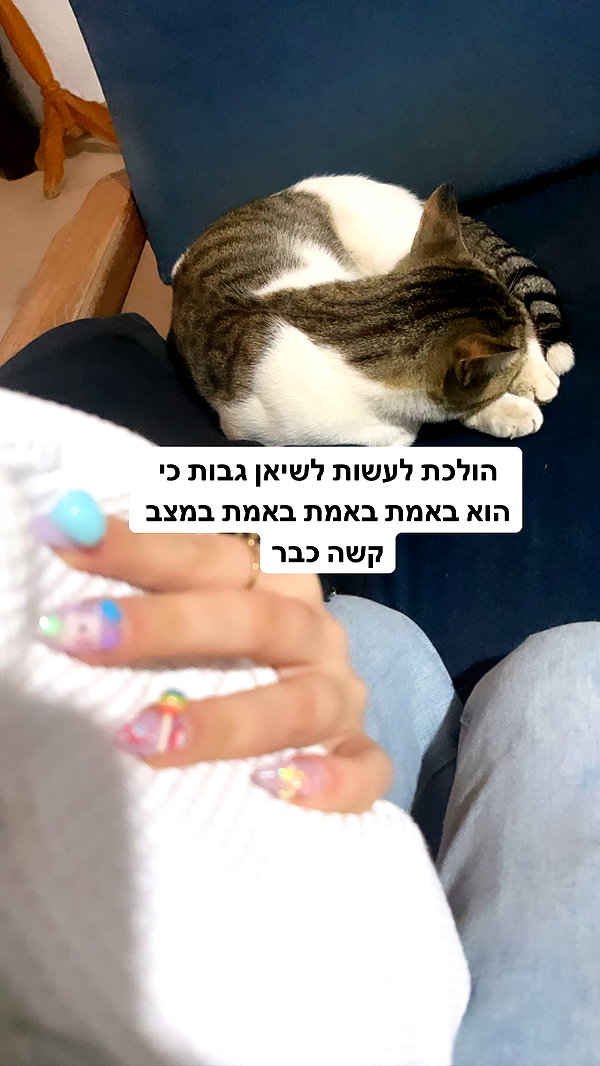 liliashaked instagram image archive image