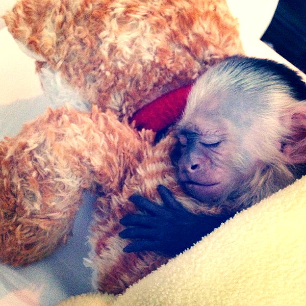 lilbieber instagram image archive image