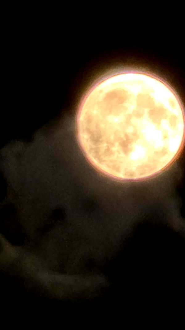 niram1y instagram image archive image