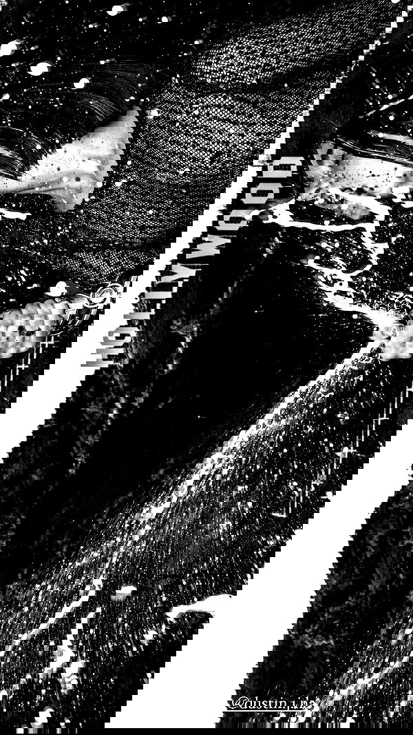 taylor.creeden taylor.creeden archive image