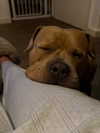 _m_a_y_c_ Altpins Profile Picture