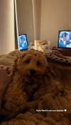 sophiecharlotth Altpins Profile Picture