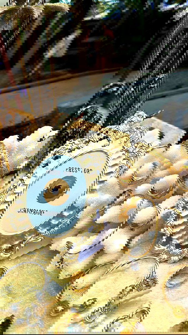 taylor.creeden taylor.creeden archive image