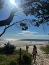 daisy_r_19 Altpins Profile Picture