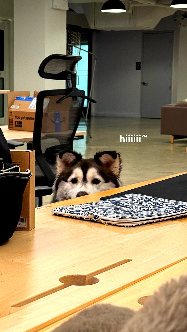 shulunc instagram image archive image