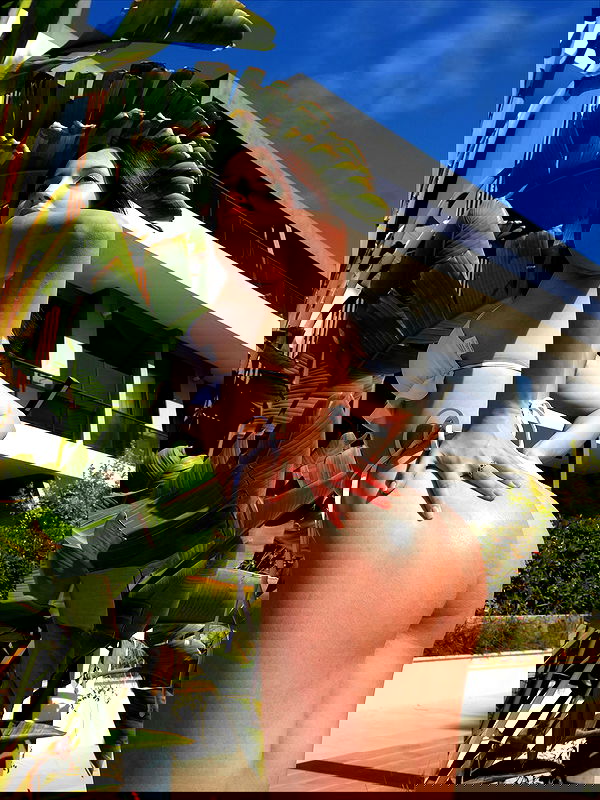 pollcherri pollcherri archive image