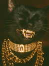milkibunshehe Altpins Profile Picture