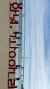 elsgatti Altpins Profile Picture