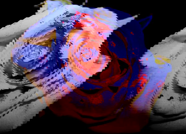 missnyxdawn missnyxdawn archive image