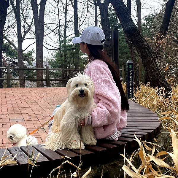kdsrescue instagram image archive image