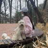 kdsrescue Altpins Profile Picture