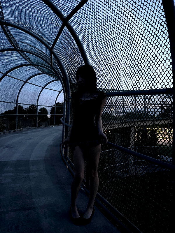 slowdxving archive image