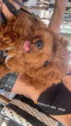 agam._.harel Altpins Profile Picture