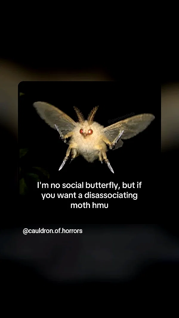 hon3yink instagram image archive image