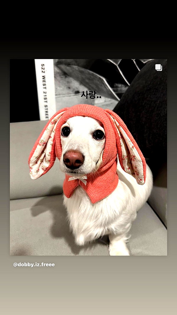 Archived image from @heroineseen on Instagram