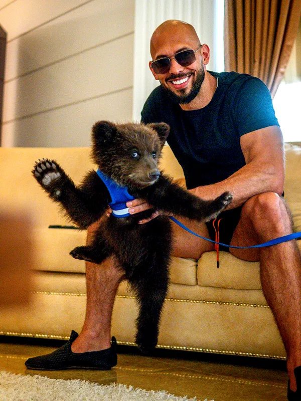 tateauraa tateauraa archive image