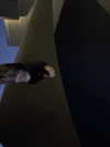 astarwbry_ Altpins Profile Picture