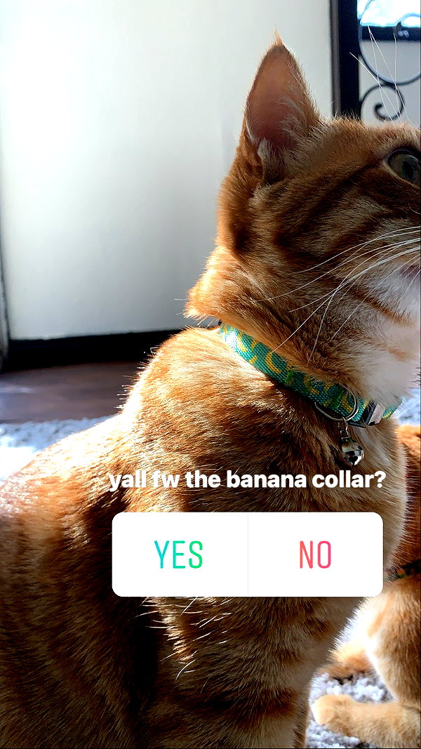 butter.on.a.poptart69 instagram image archive image