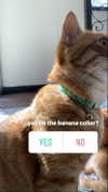 butter.on.a.poptart69 Altpins Profile Picture