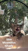 gabbyepstein Altpins Profile Picture