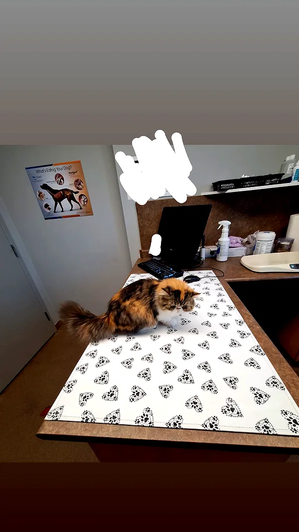 mirekyarahire instagram image archive image