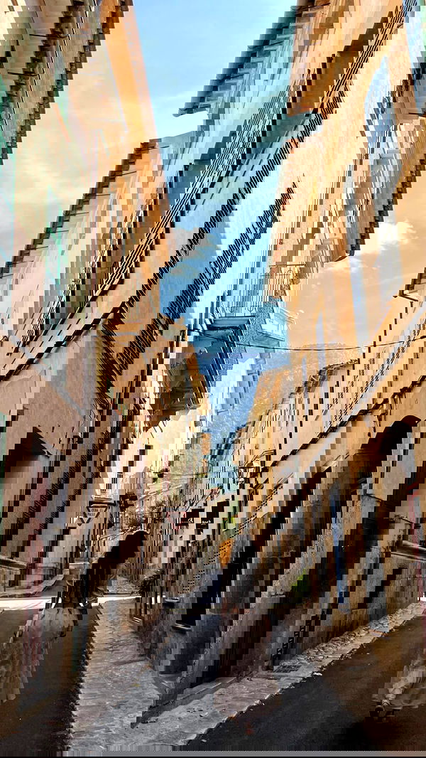 shunli__mei image ~ Altpins