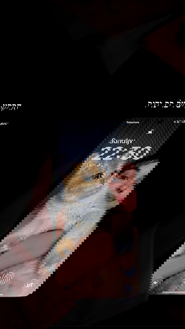 itsilanosh itsilanosh archive image