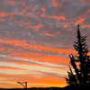 hadas_mayer_ Altpins Profile Picture