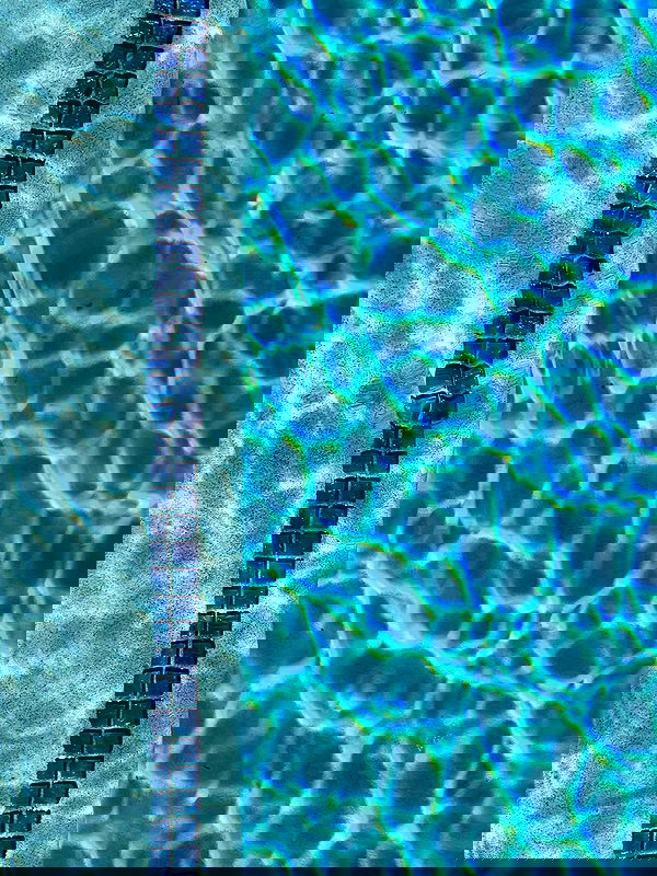 juliaernst juliaernst archive image