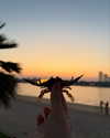katiehamden_ Altpins Profile Picture
