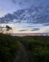 tatumchurch Altpins Profile Picture