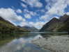 maori_cohen Altpins Profile Picture