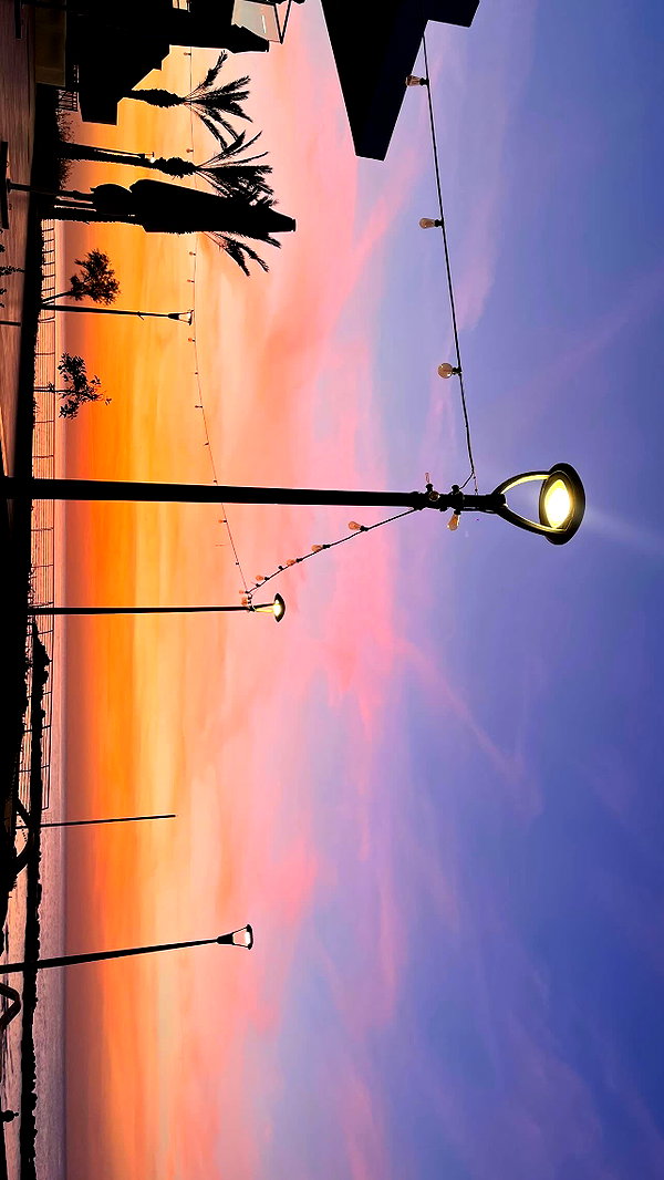 lishai_halevi instagram image archive image