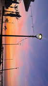lishai_halevi Altpins Profile Picture