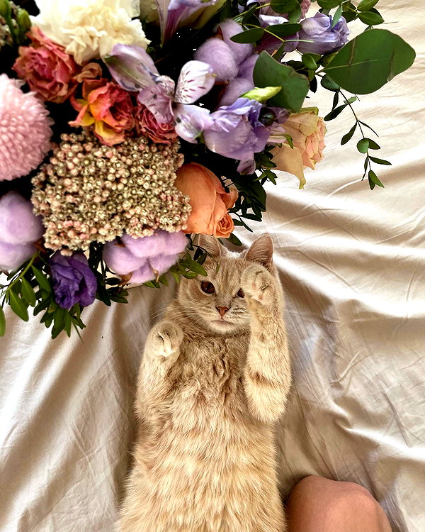 lerkamiill instagram image archive image
