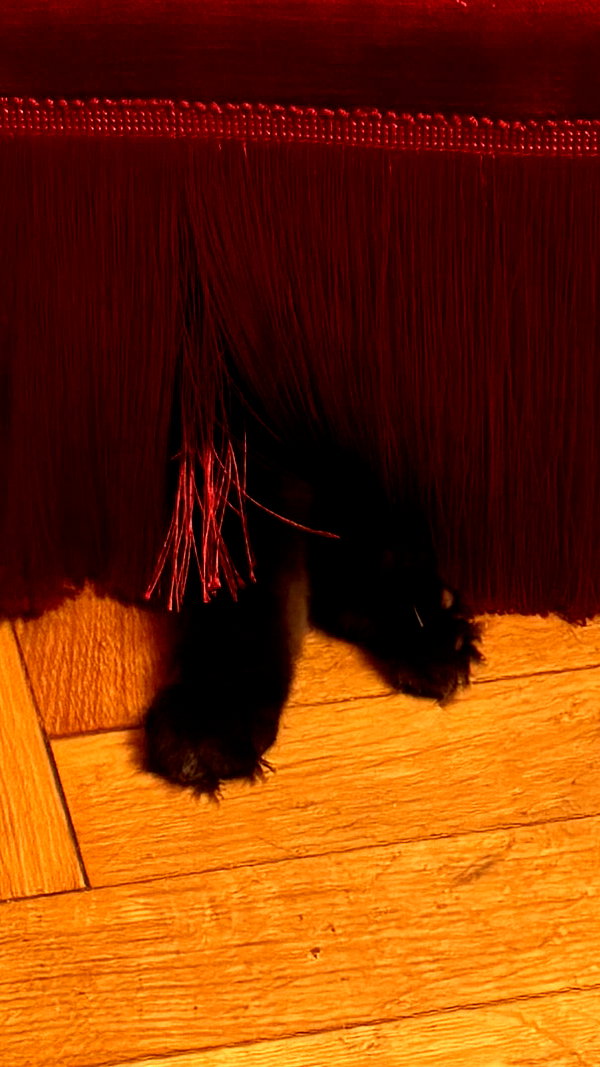 leni.bahr archive image