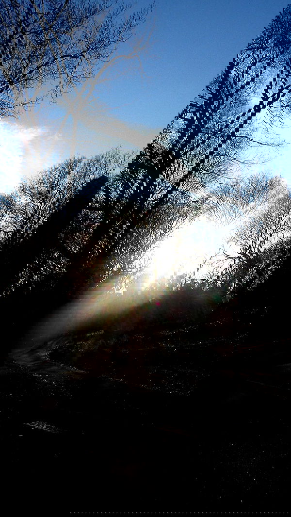 rchhhll rchhhll archive image