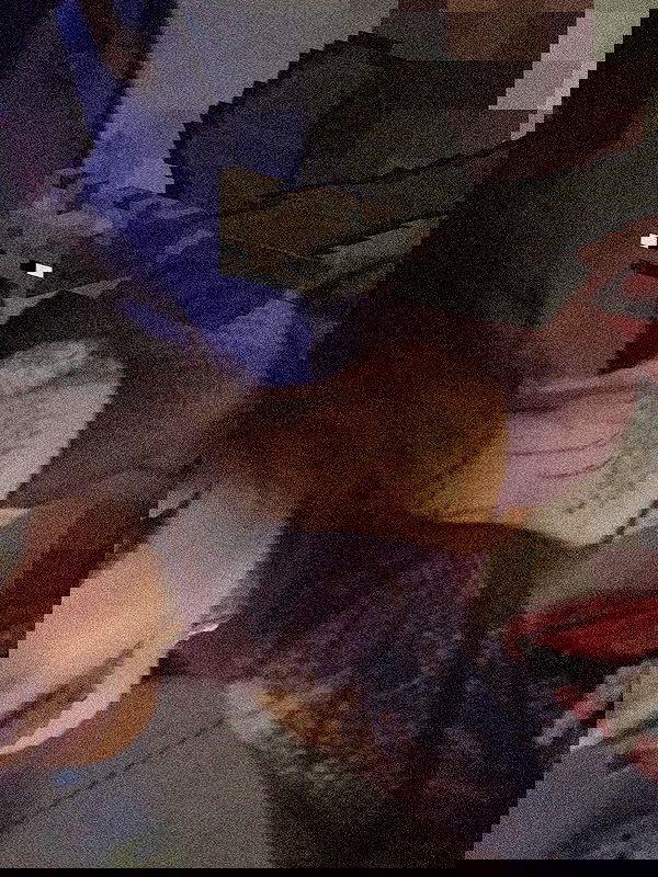 zommmbri zommmbri archive image