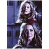sashapieterse Altpins Profile Picture