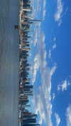 libby_reut Altpins Profile Picture