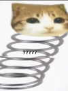 milkibunshehe Altpins Profile Picture