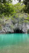 maori_cohen Altpins Profile Picture
